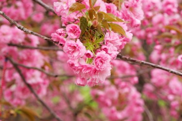 绍兴上虞区4线下个人借款平台一站式服务，轻松解决资金难题