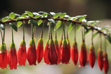 绍兴上虞区4零用贷短借：轻松解决临时资金需求