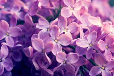 绍兴上虞区4企业急用钱贷款攻略：快速融资解燃眉之急